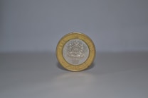 A single coin stands upright on a smooth, light-colored surface against a plain background. The coin has a silver center with an intricate emblem, surrounded by a gold outer ring. The year 1995 and some text are embossed on it.