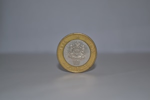 Chola Bronze Coin