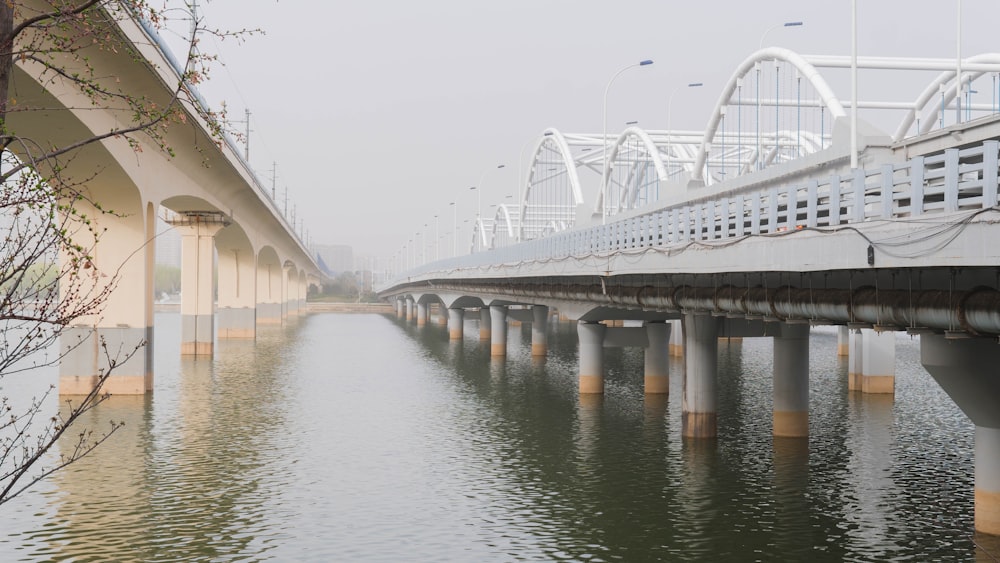 a bridge over a body of water on a foggy day