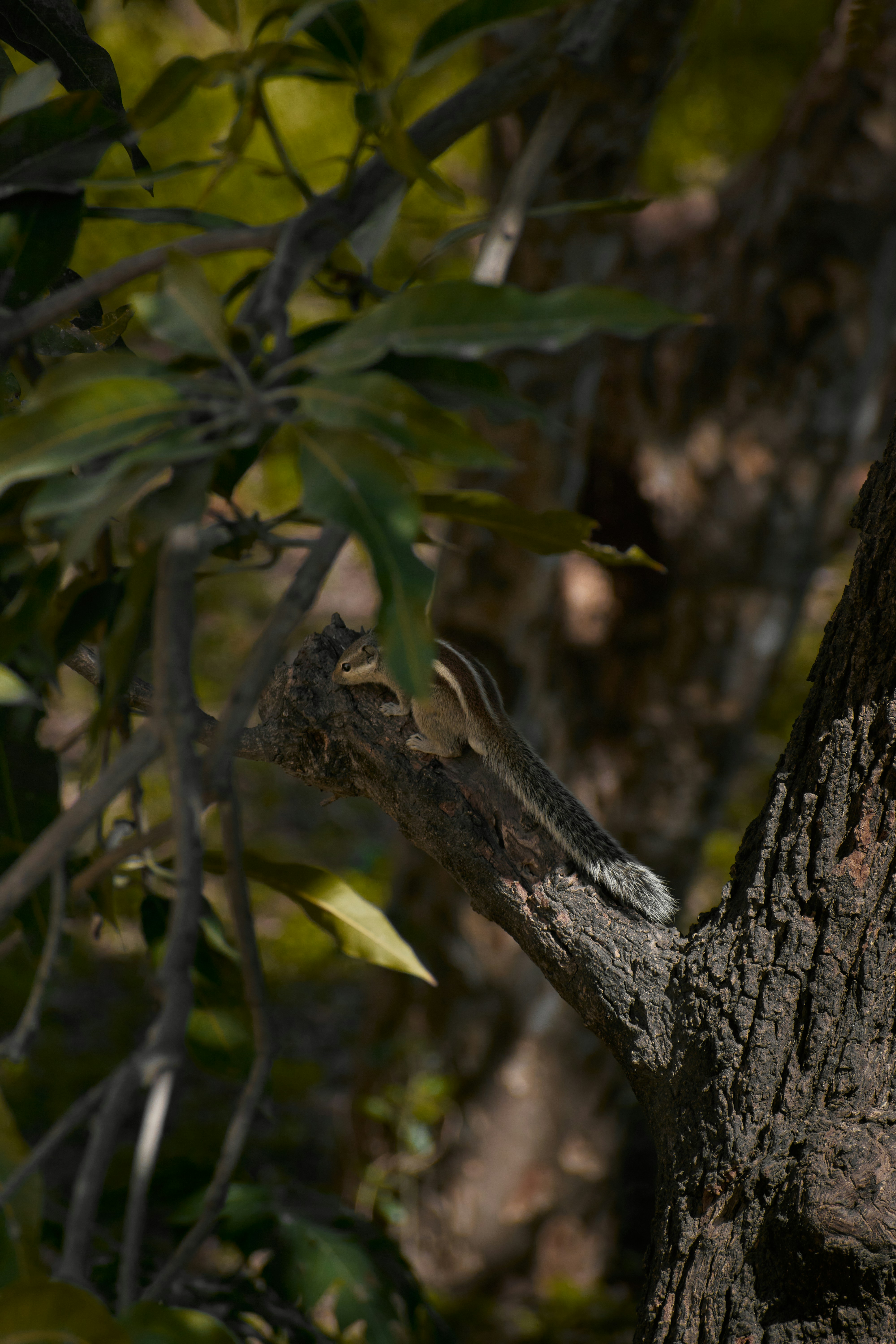 Photo by curatedbykationn