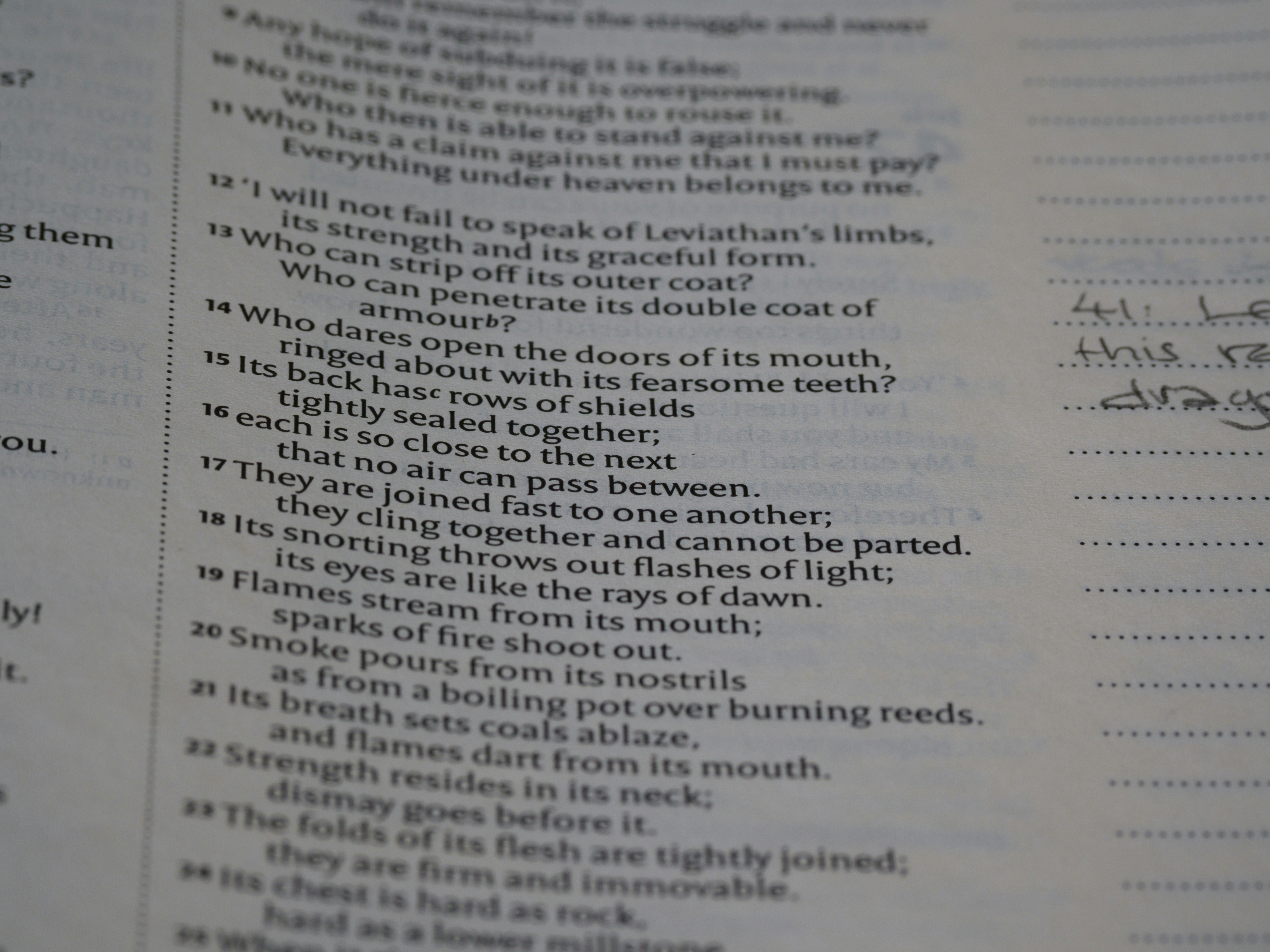 Photo by brett_jordan