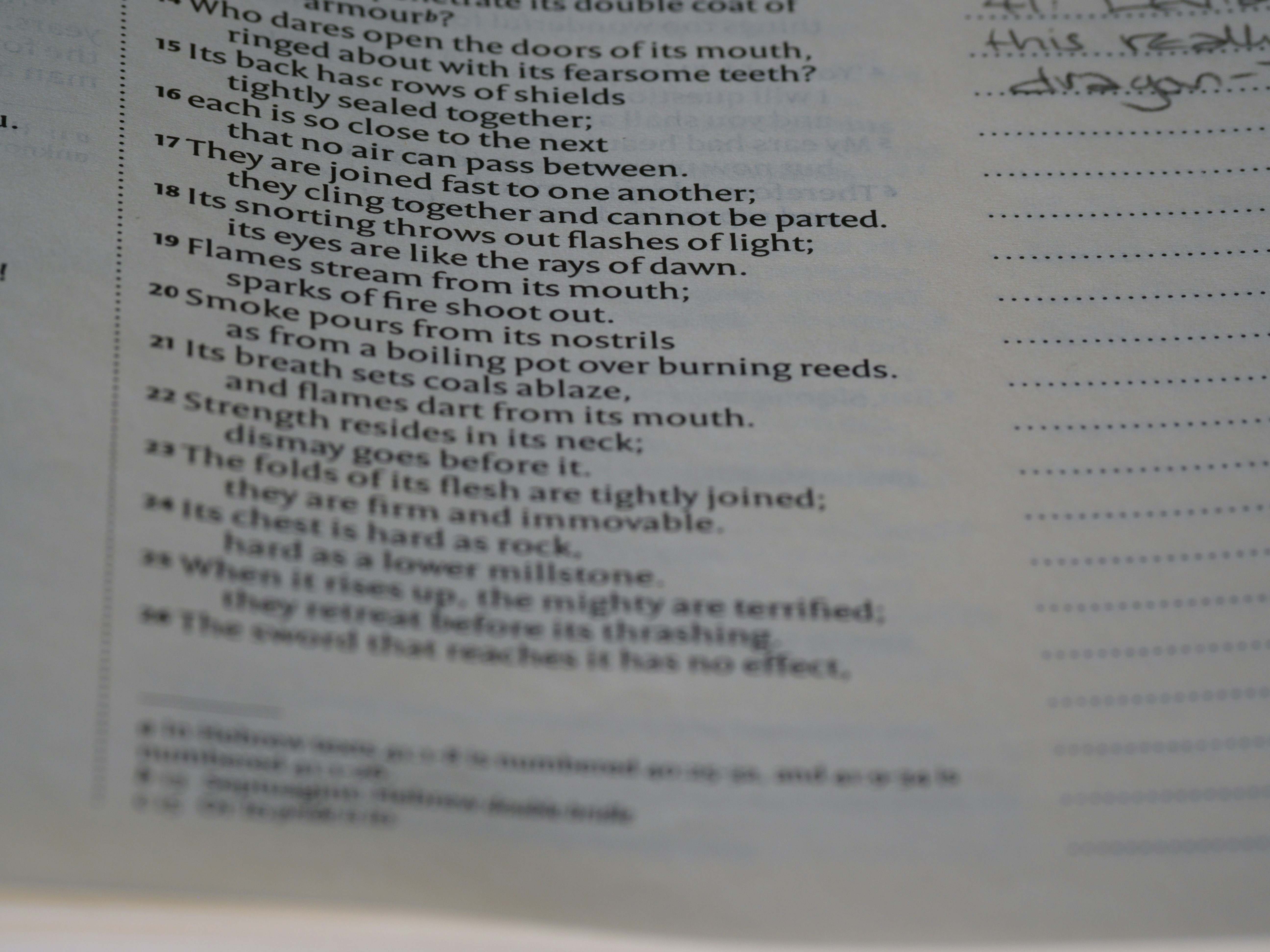 Photo by brett_jordan