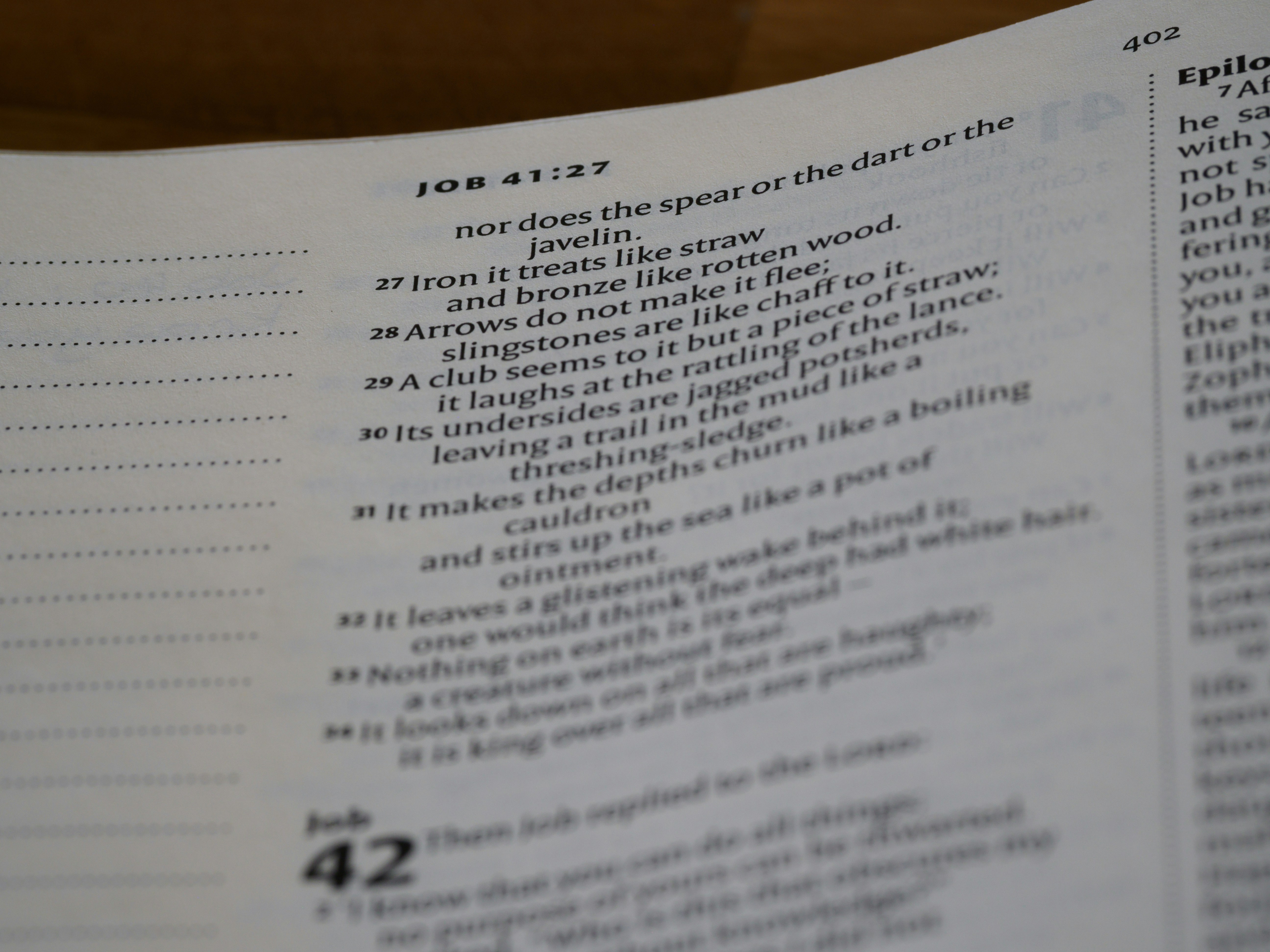 401k plan enrollment form close up - a close up of a page of a book
