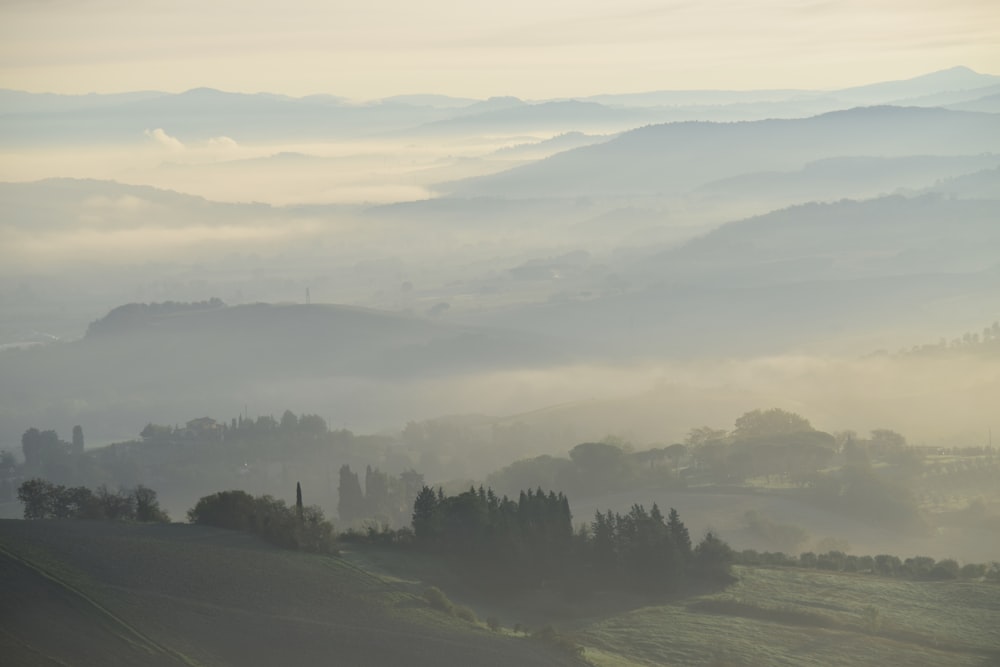 a foggy valley with trees and hills in the distance