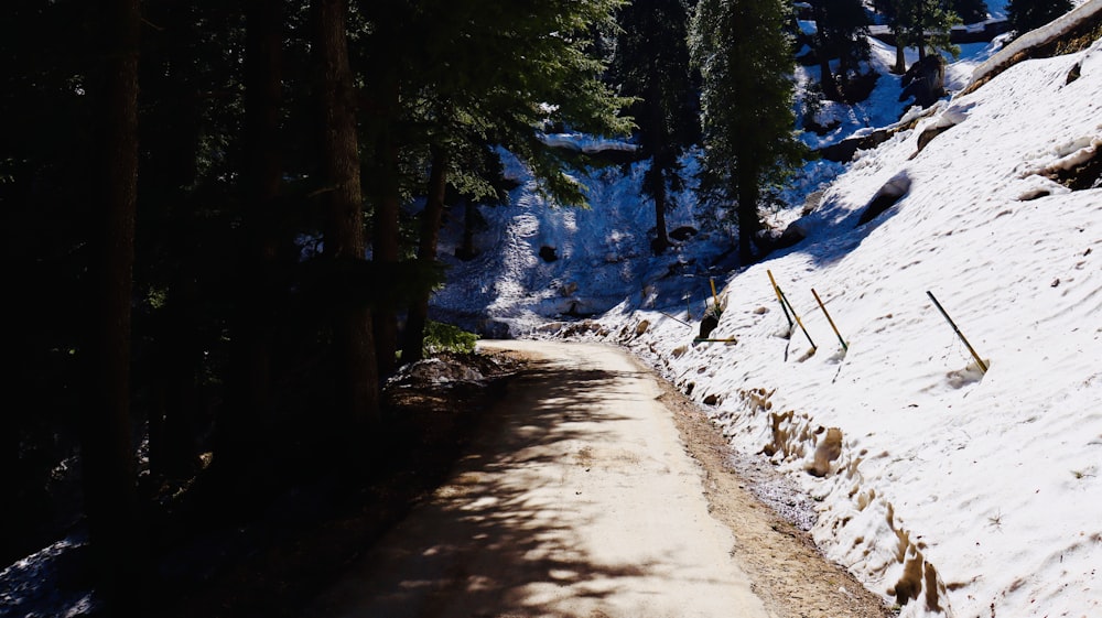 a snow covered path in the middle of a forest