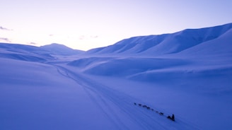 a group of people walking across a snow covered field