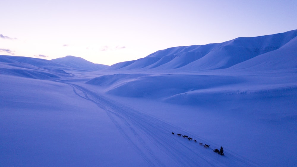 a group of people walking across a snow covered field