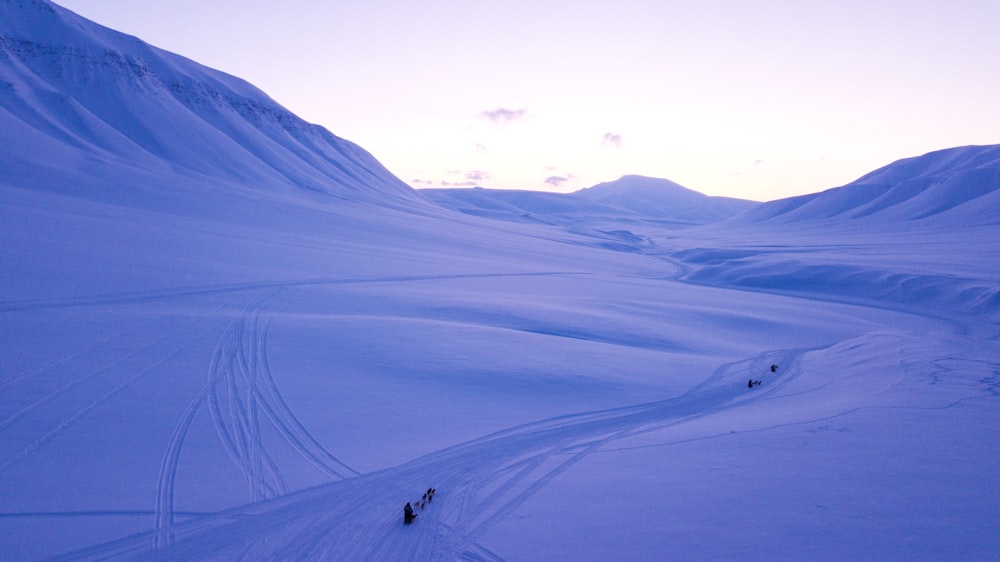 a group of people riding skis down a snow covered slope