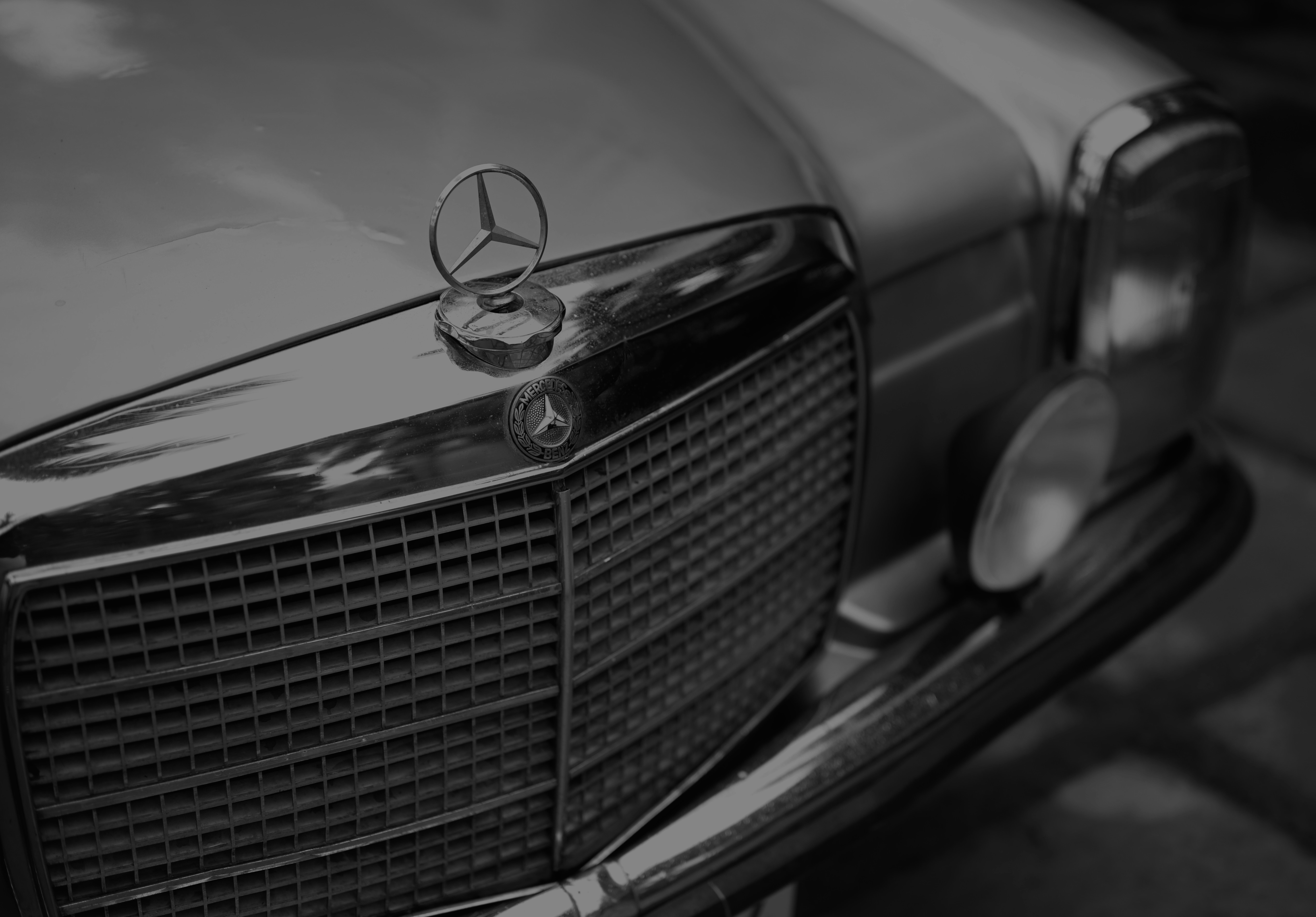 Photo by maher_m_raoof