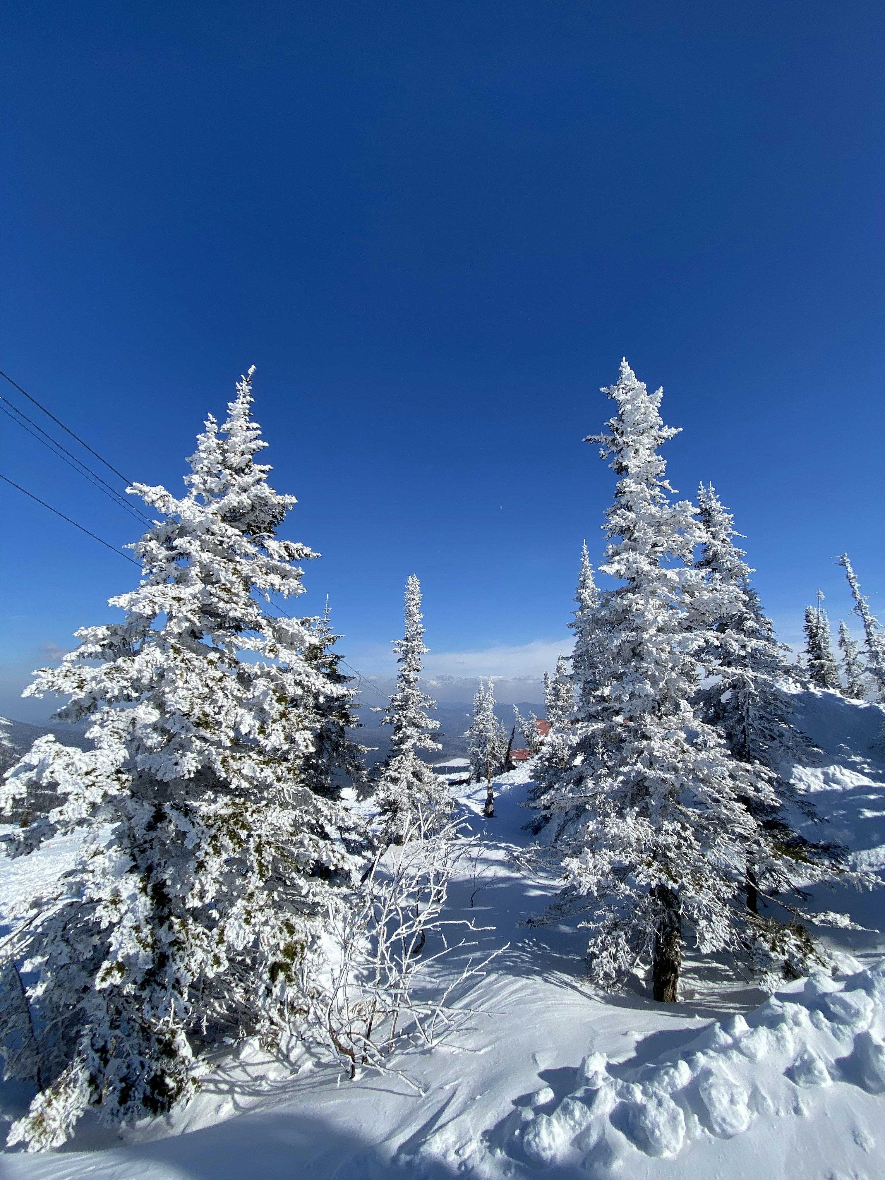 Photo by annanesynova