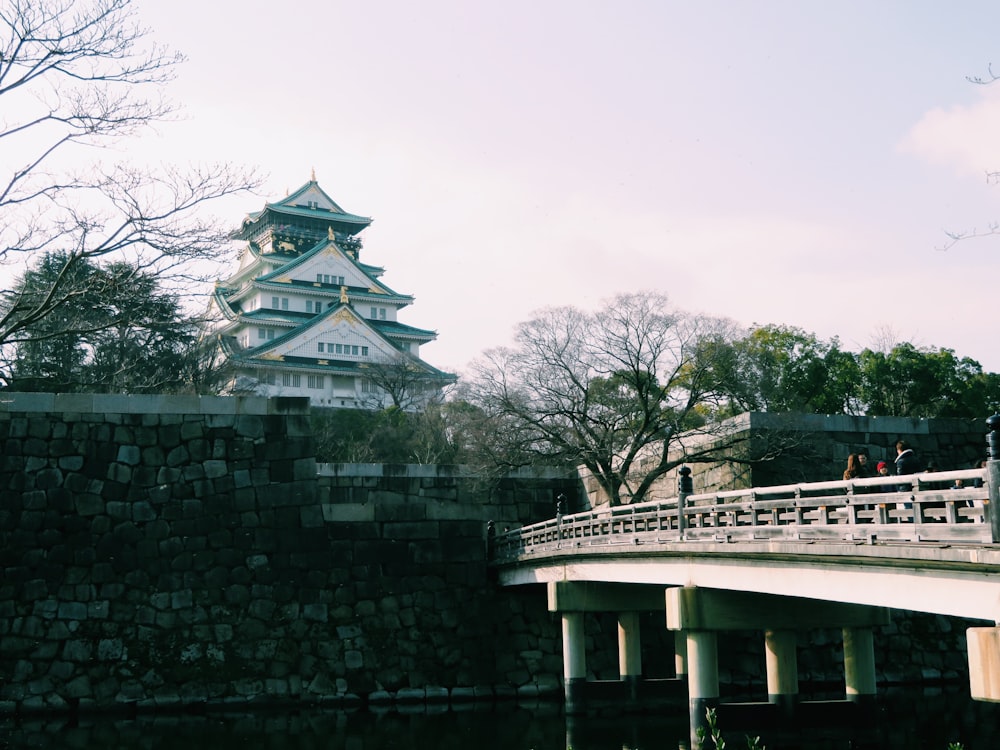 a bridge over a body of water with a castle in the background