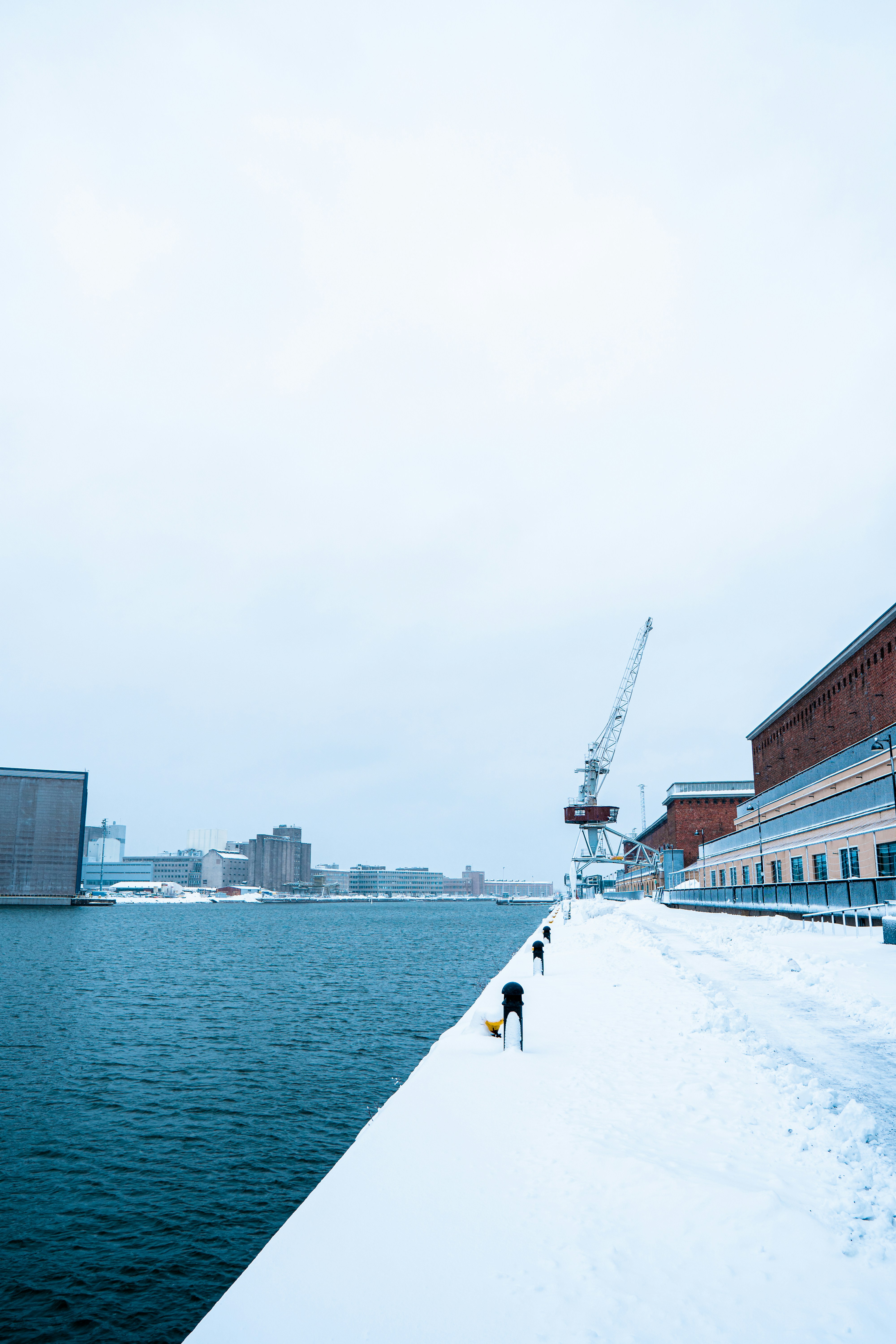 a large body of water with a crane in the background