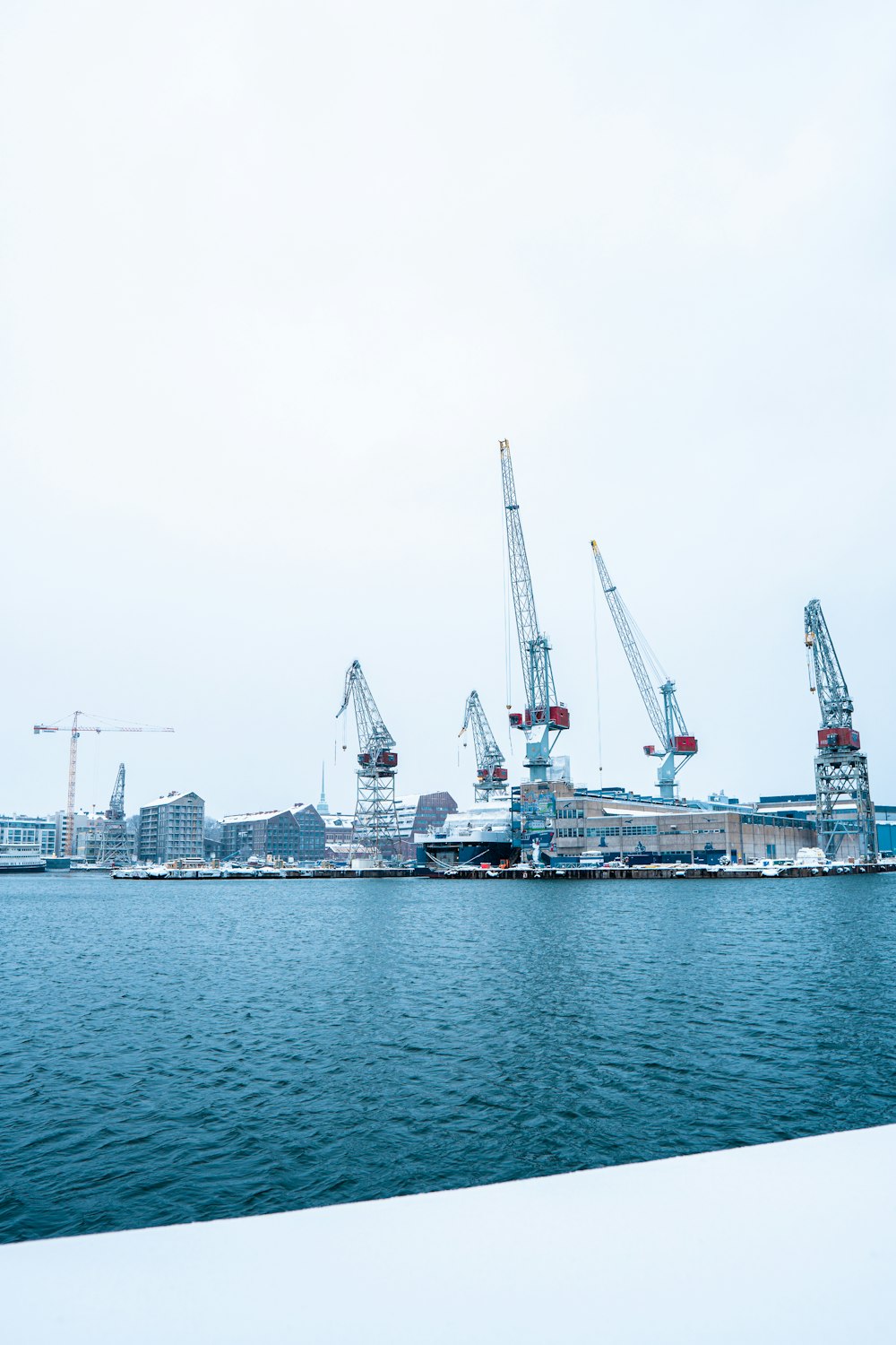 a large body of water with cranes in the background