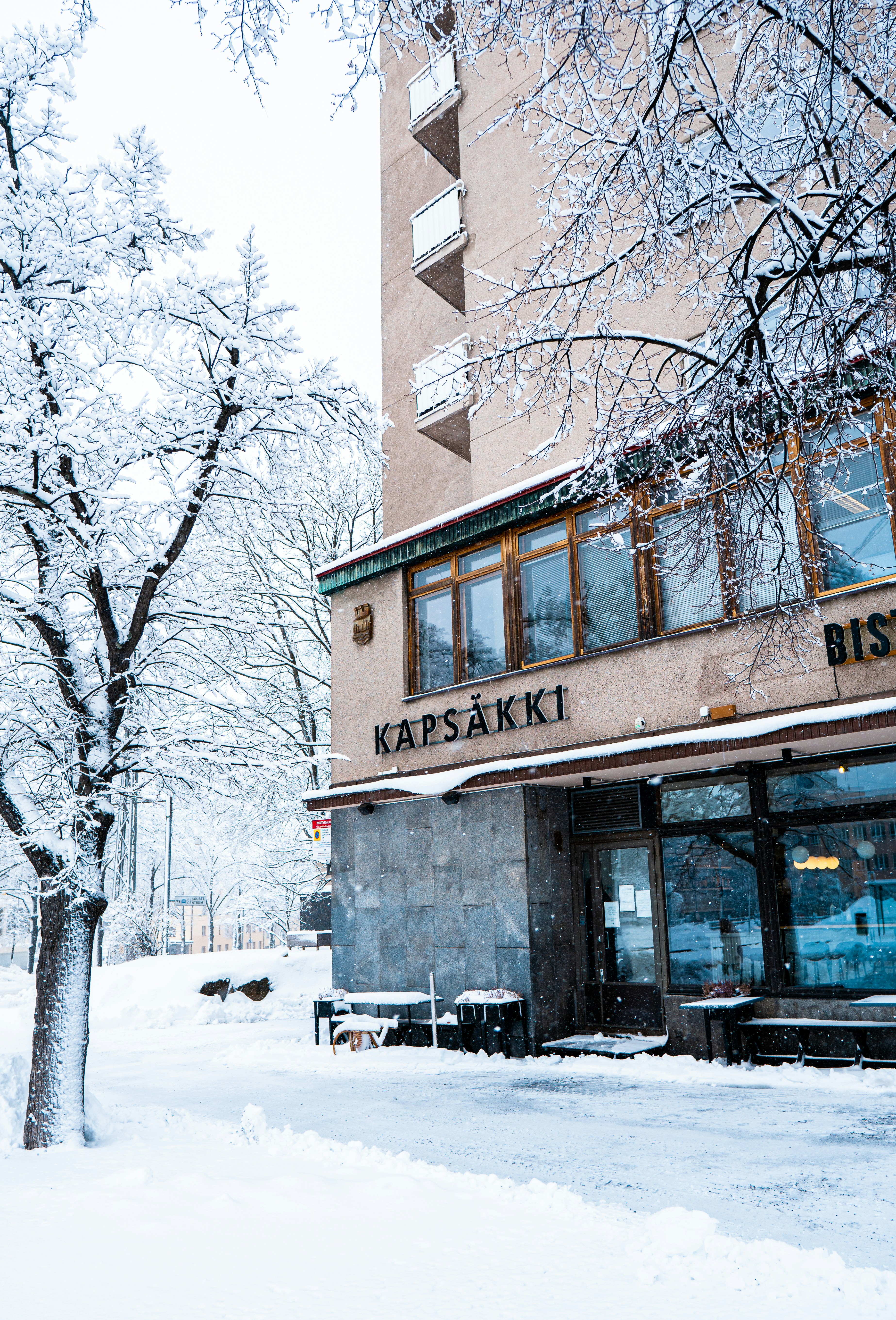 a building that has a tree in front of it