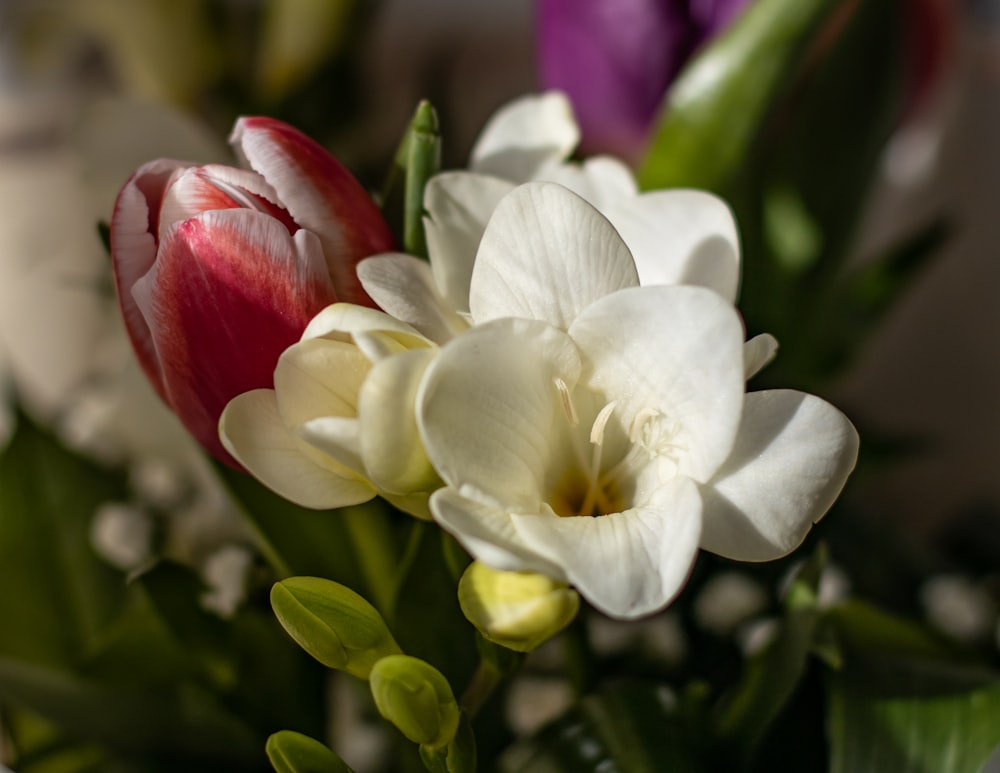 a bunch of flowers that are in a vase