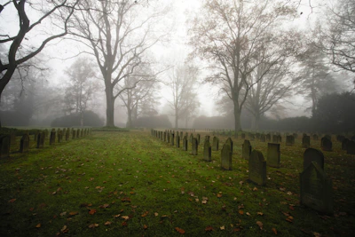 Fog drifting through a forgotten cemetery with ancient tombstones silhouetted against a burnt orange sky.