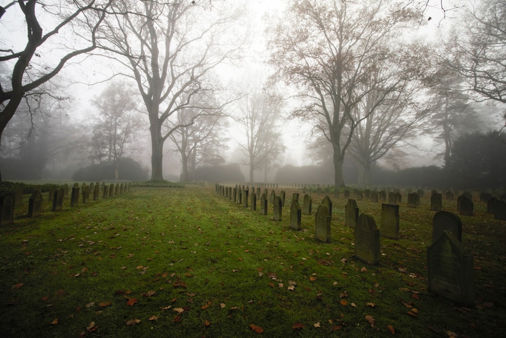 a foggy cemetery with headstones in the foreground