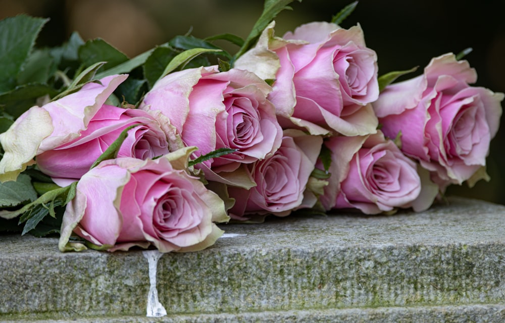 a bunch of pink roses sitting on top of a stone wall
