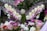 A detailed arrangement of flowers featuring white and pink roses, baby's breath, and green foliage. A central spherical object made of woven material is surrounded by the blooms, creating an intricate floral design. The composition includes varying shades of purple along with textured greenery.