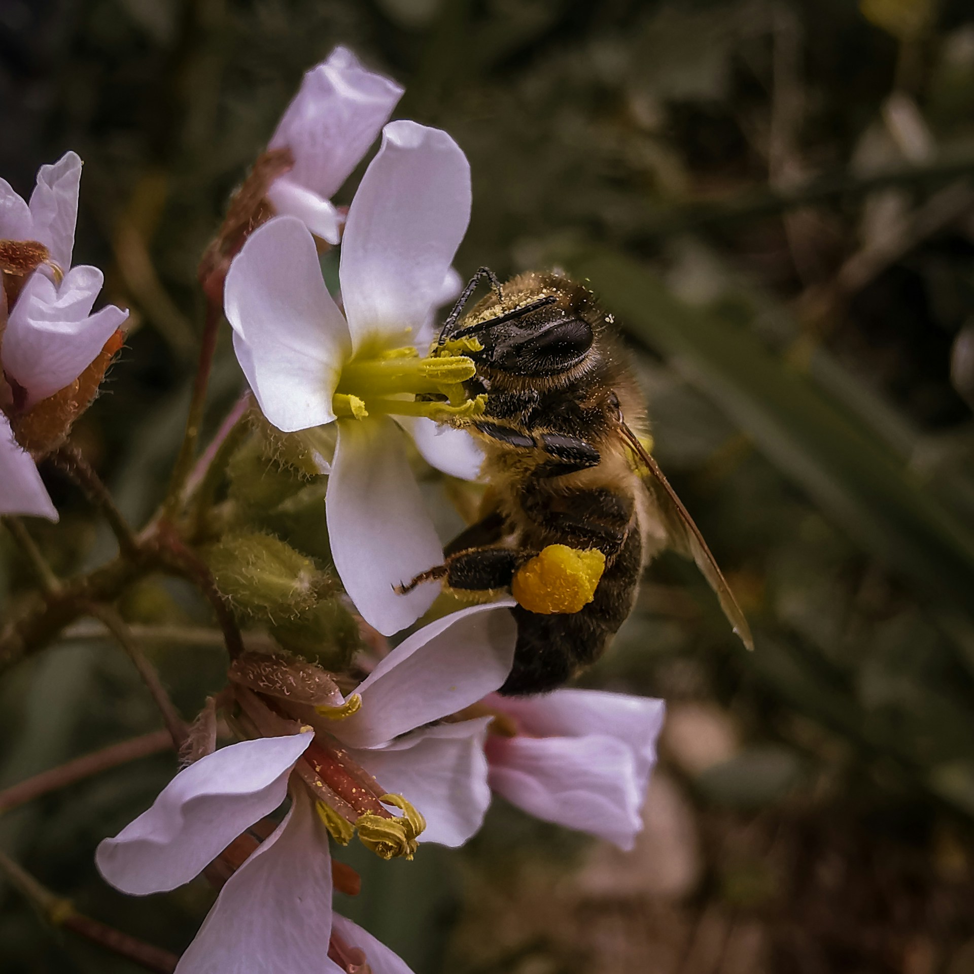 woman wearing yellow long-sleeved dress under white clouds and blue sky during daytime