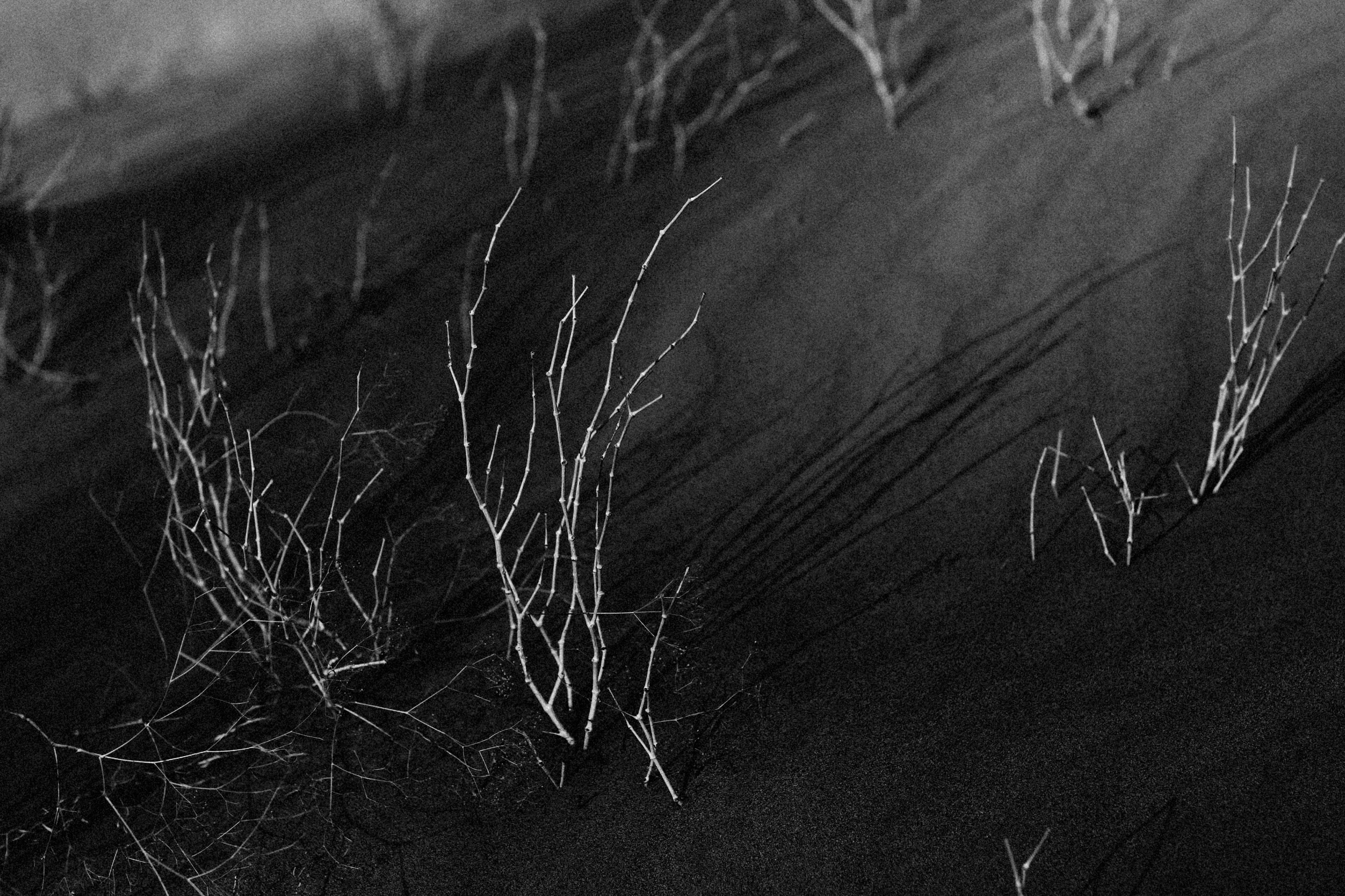 Photo by alexeydemidov