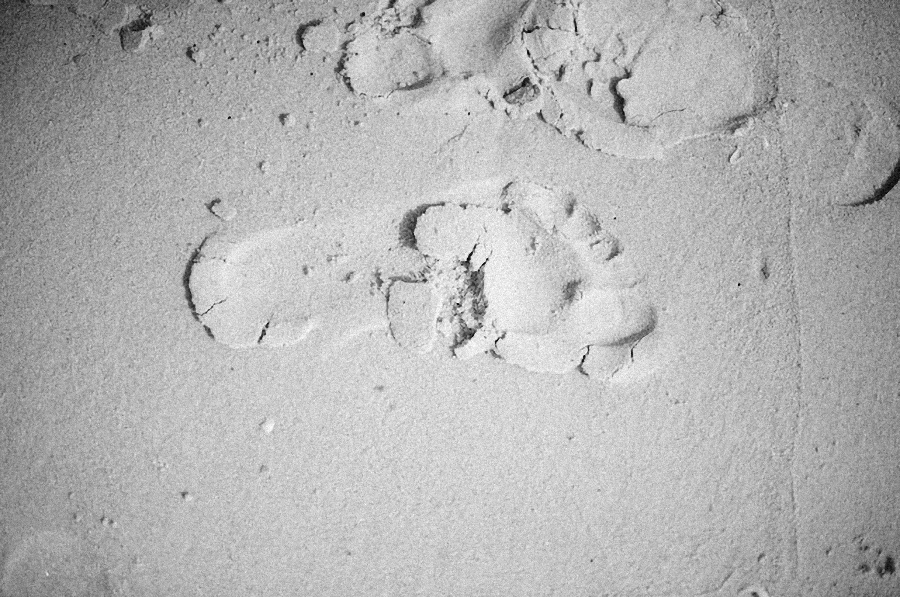 Photo by alexeydemidov