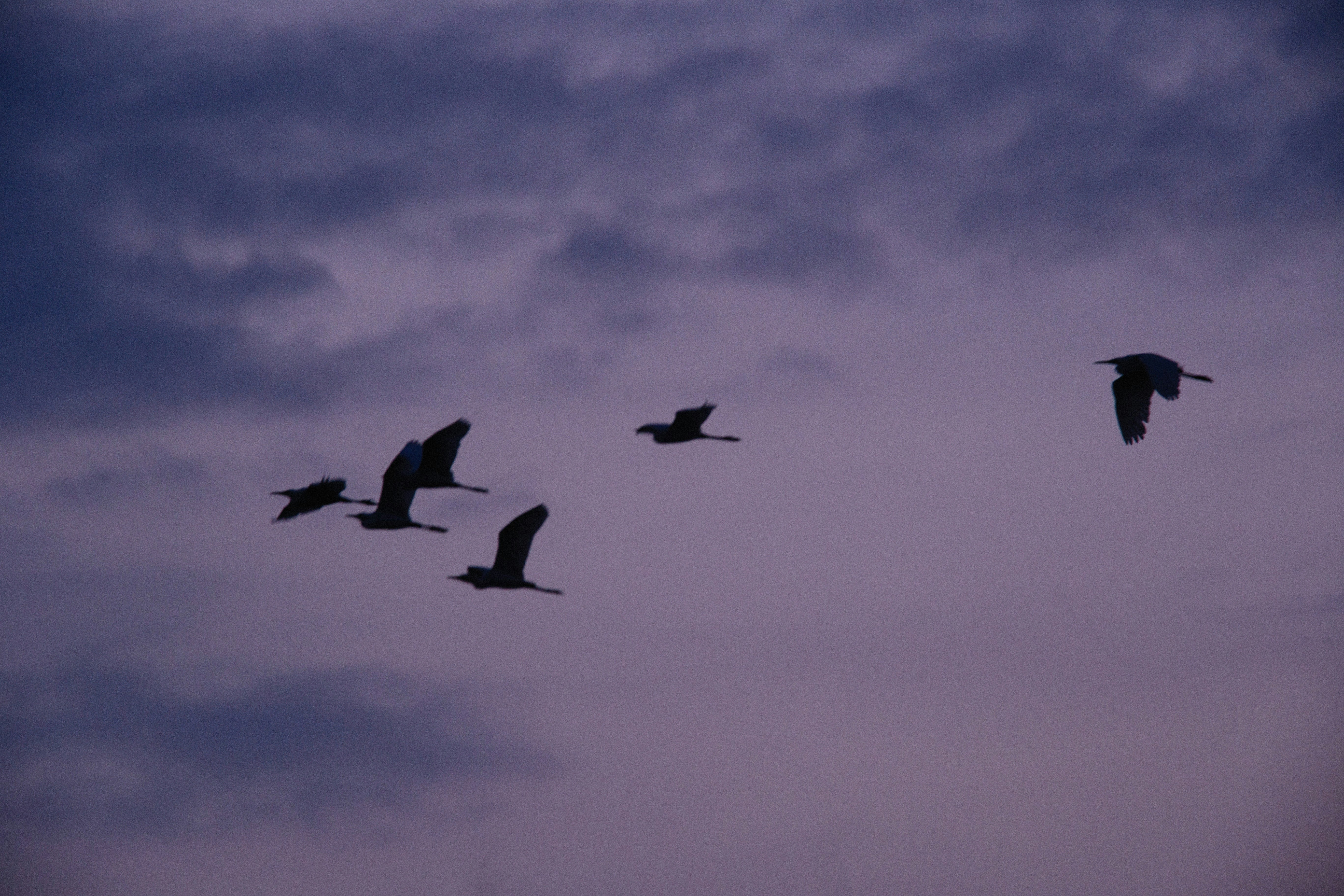 Photo by alexeydemidov