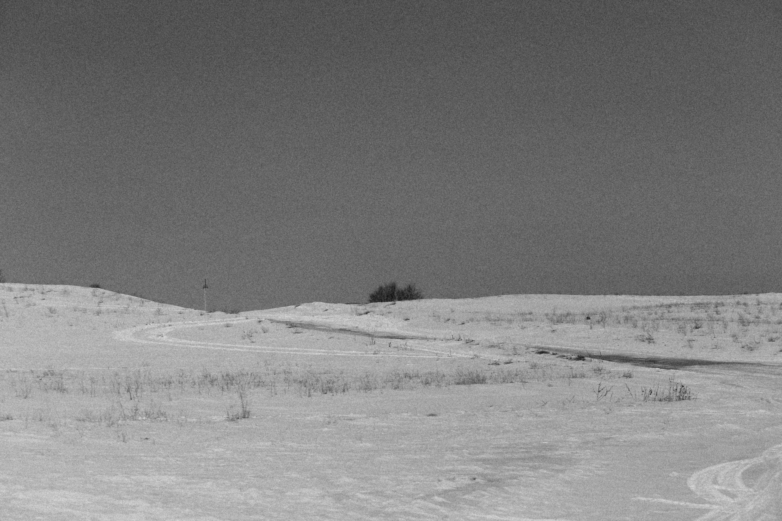 Photo by alexeydemidov