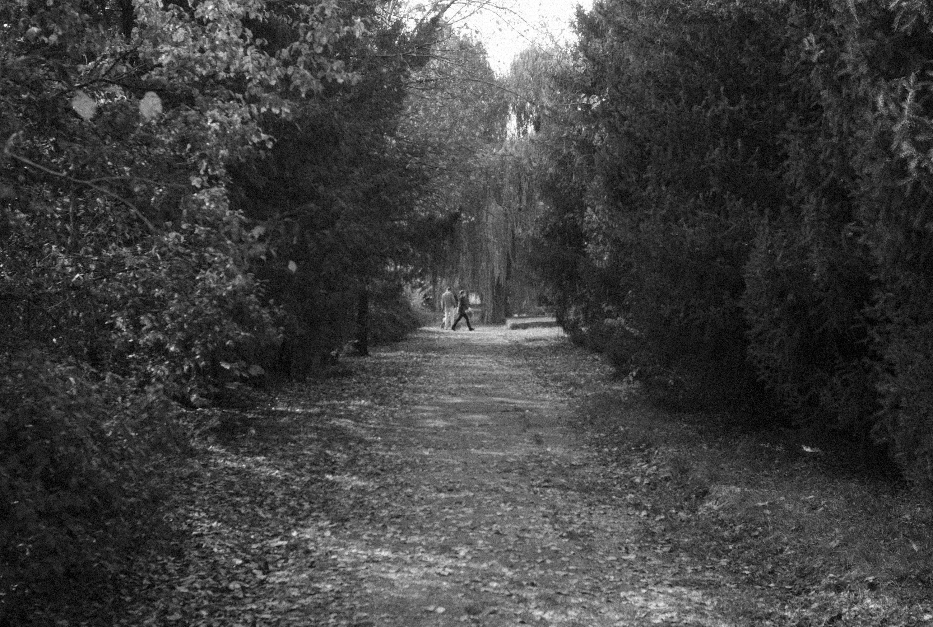 Photo by alexeydemidov