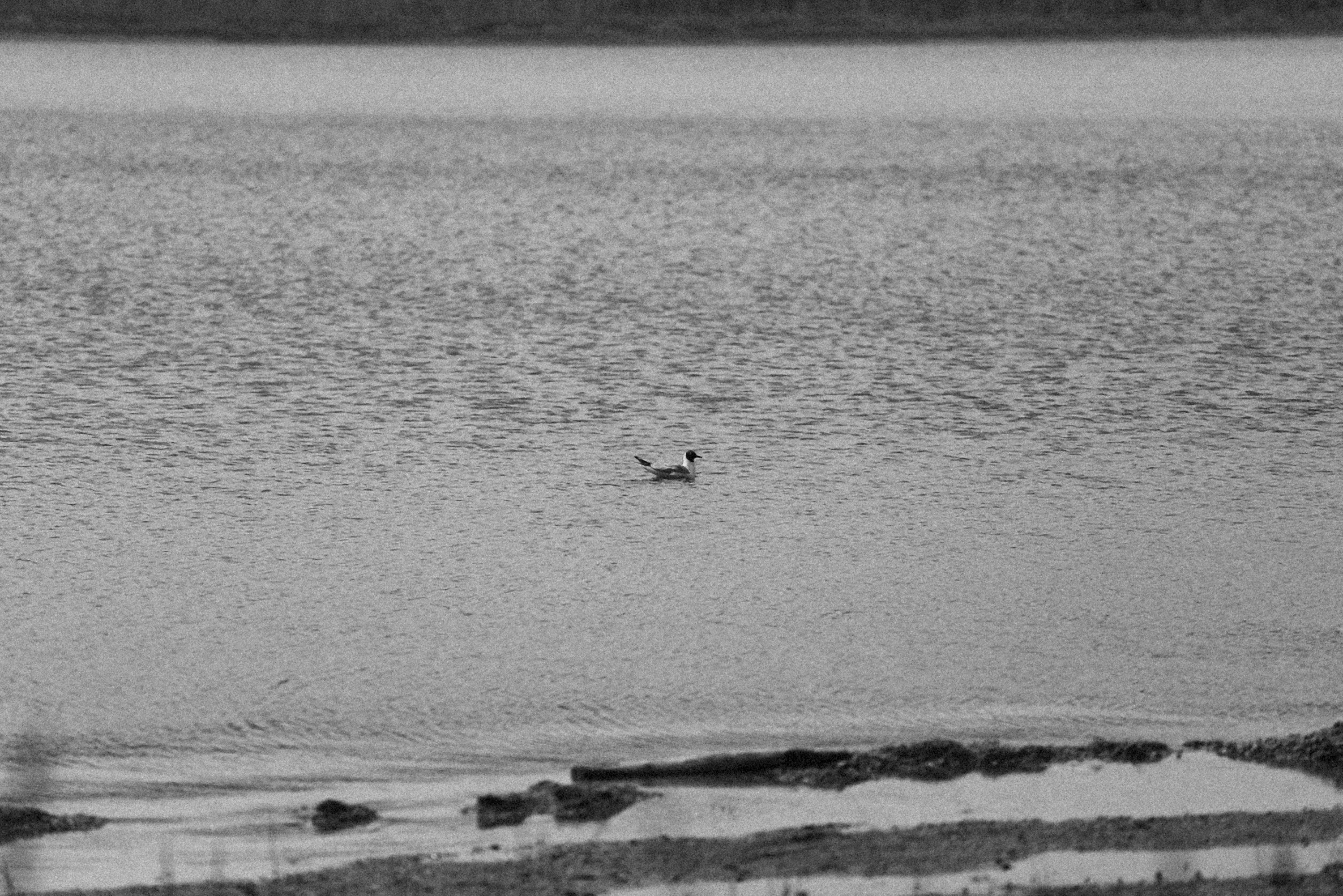 Photo by alexeydemidov