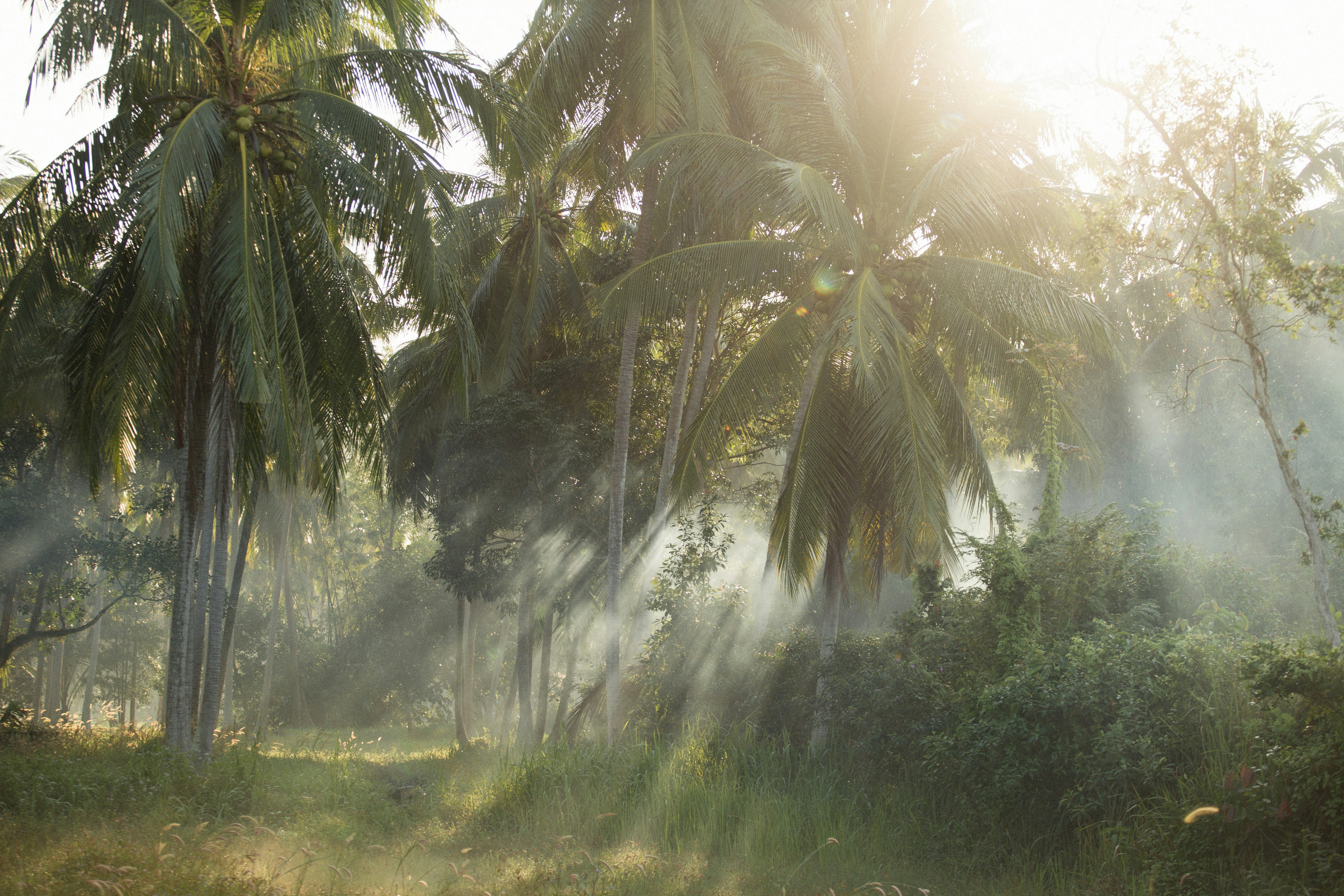 Photo by alexeydemidov