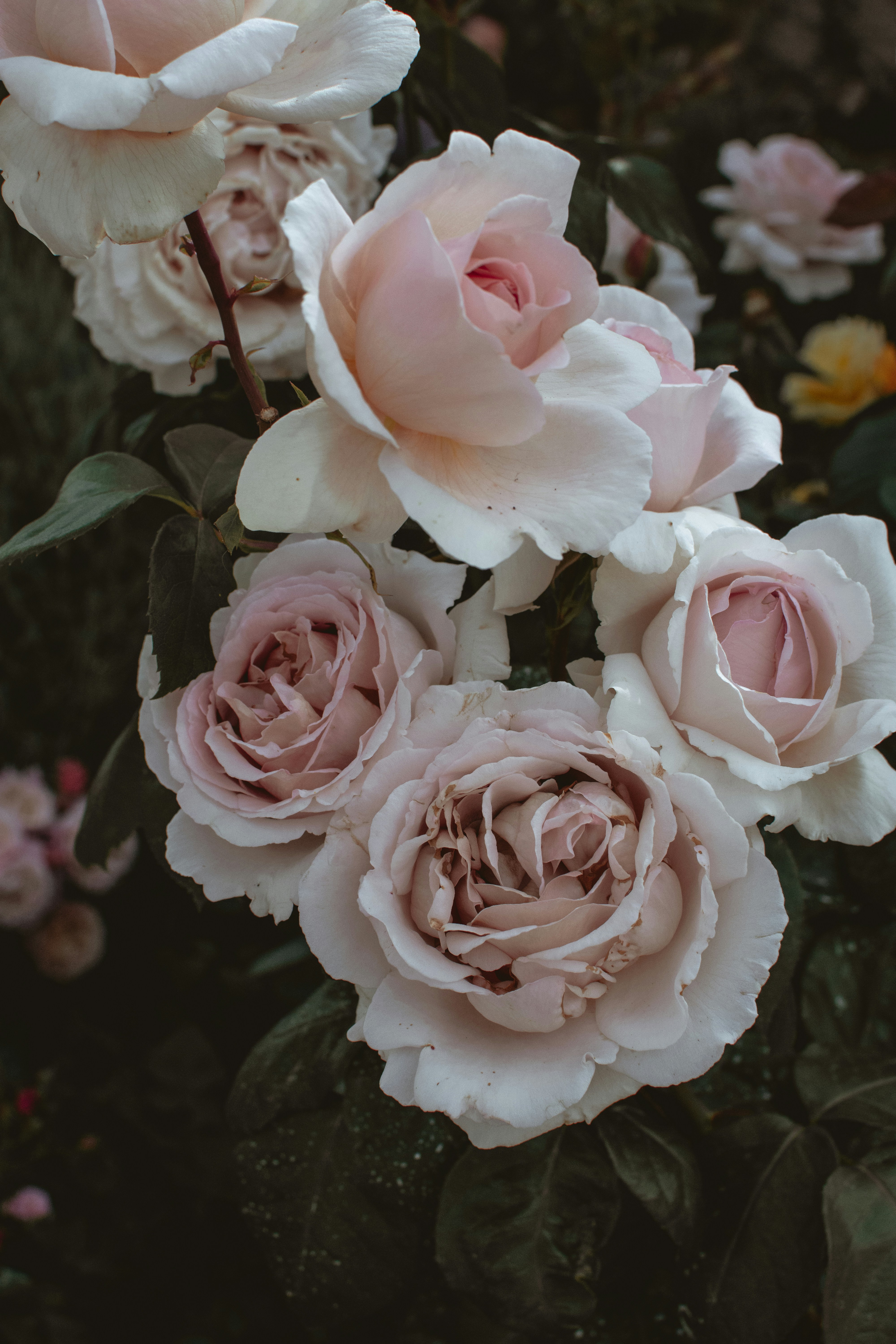 Photo by mariella_matera