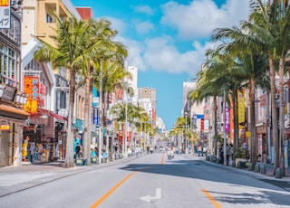 a city street lined with palm trees and shops