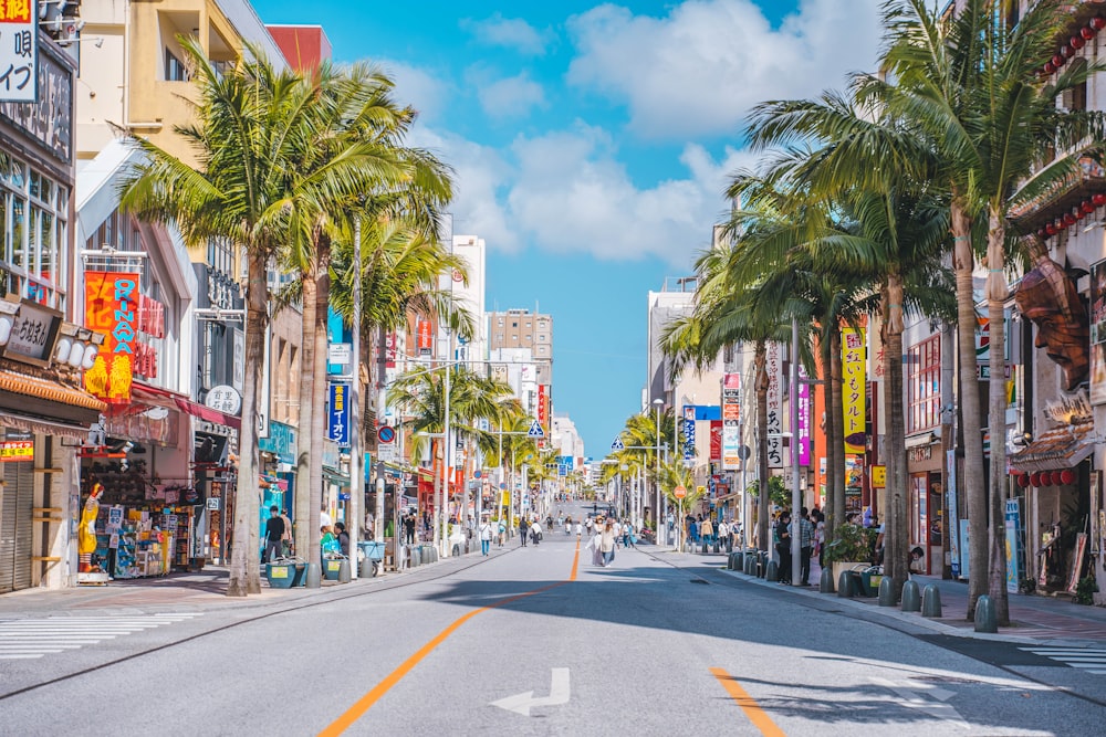 a city street lined with palm trees and shops