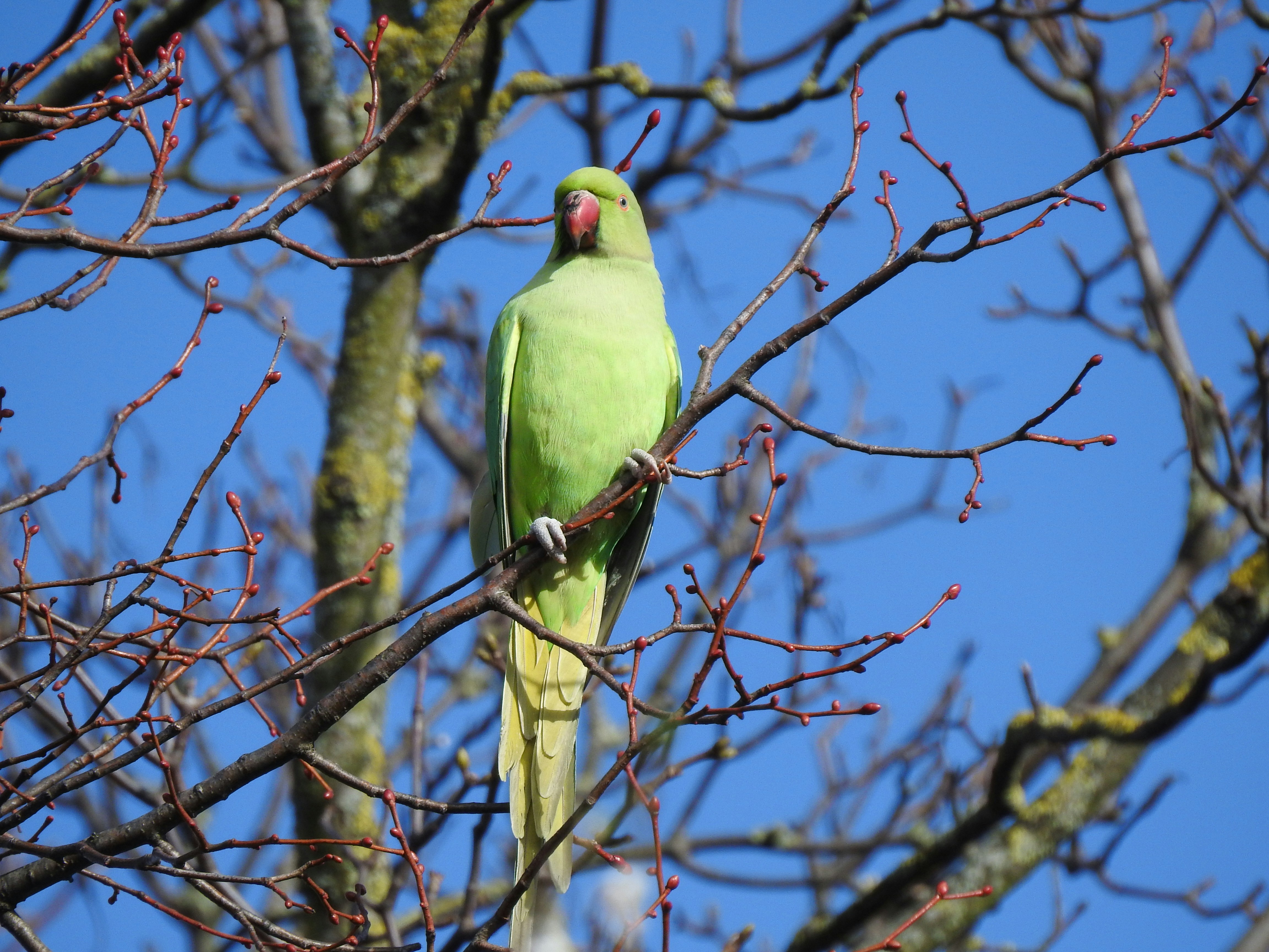 Photo by vijaychadha