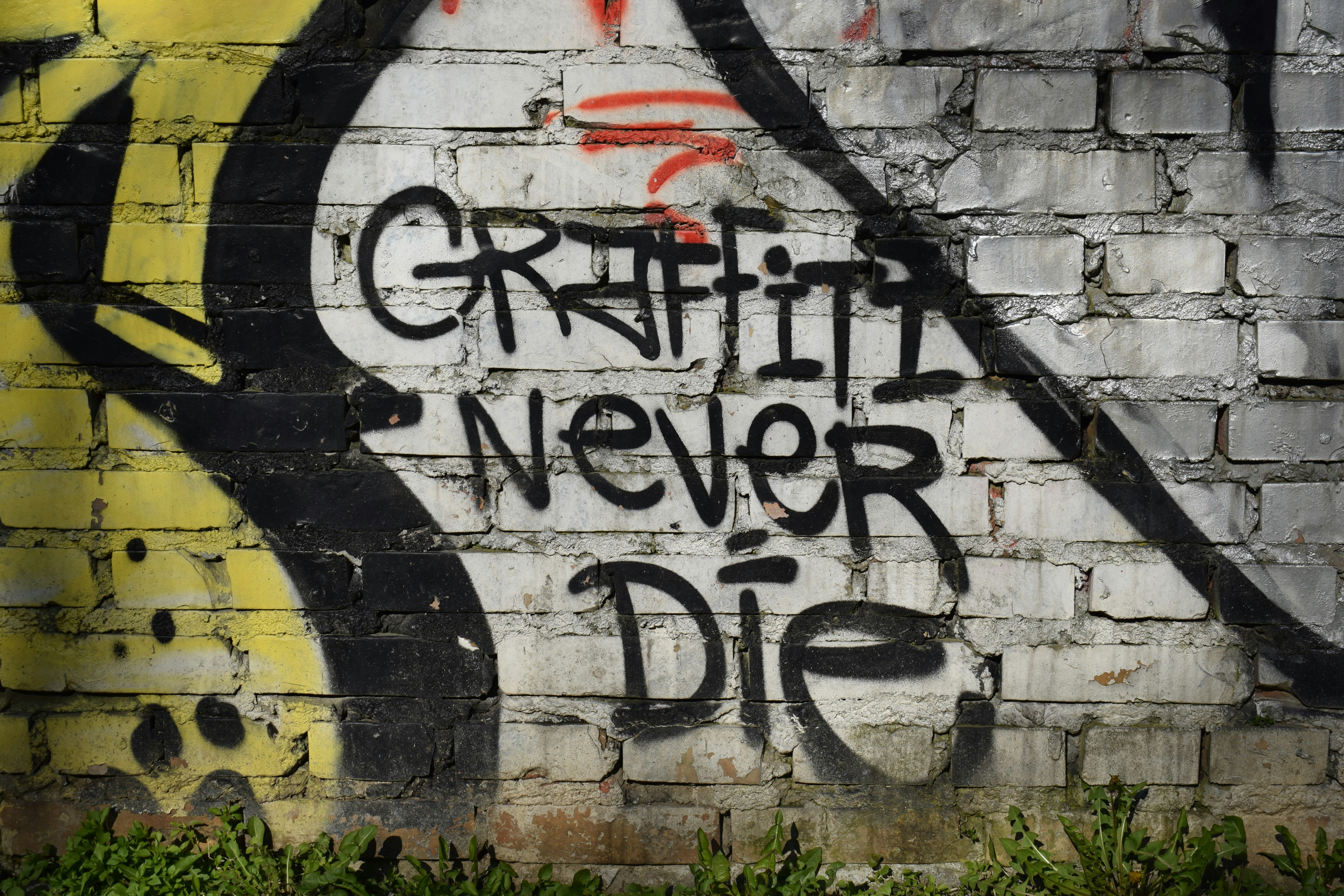 Social Media Misbehavior