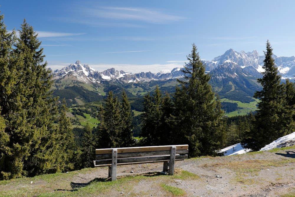 a wooden bench sitting on top of a lush green hillside