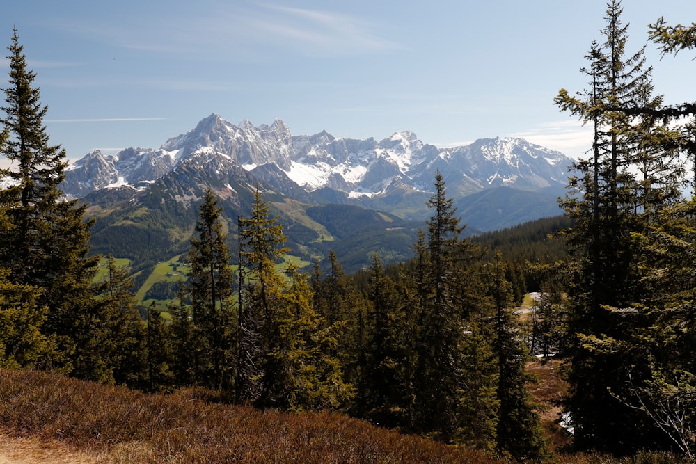 a view of a mountain range from a trail