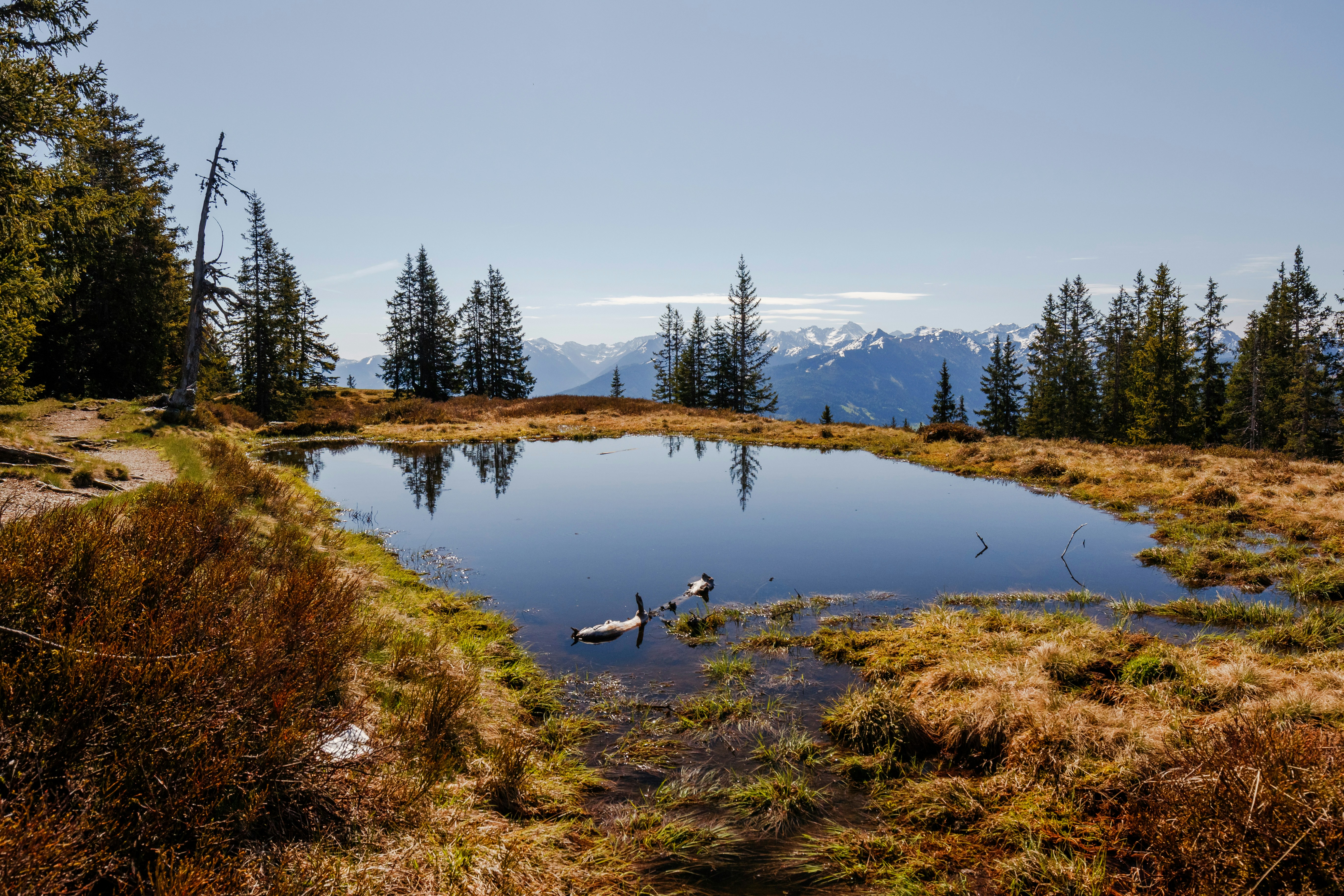 Photo by louismotorrad