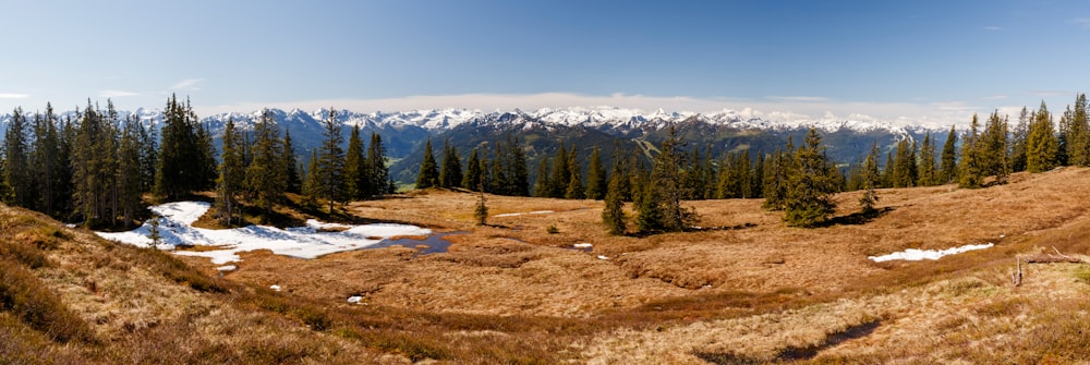 a view of a mountain range with snow on the ground