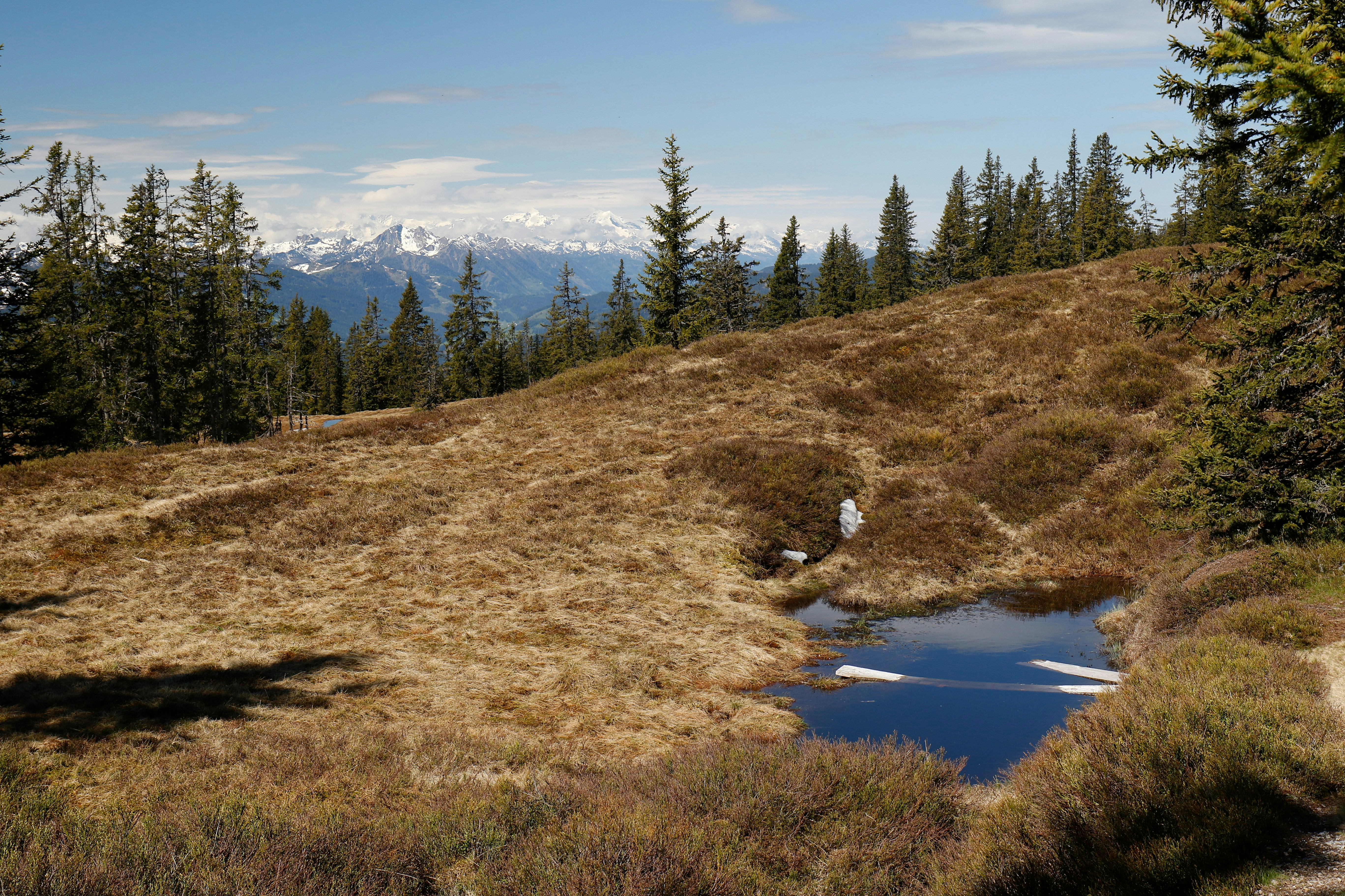 Photo by louismotorrad