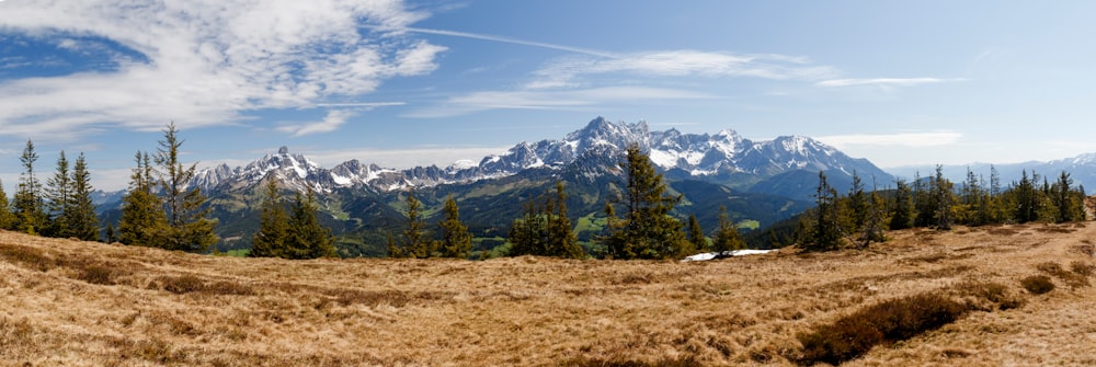 a grassy field with trees and mountains in the background