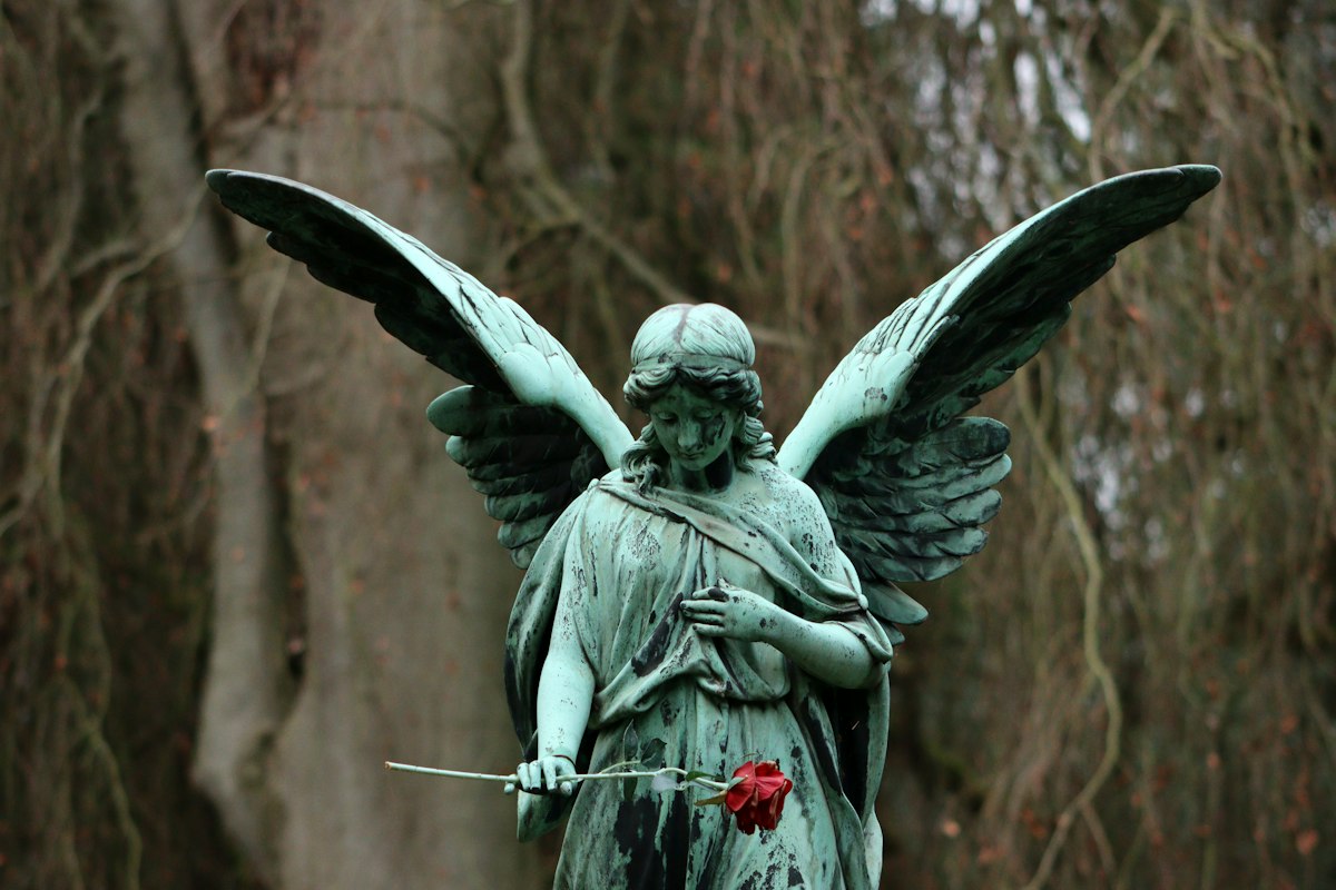 Estátua de bronze esverdeado de um anjo com as asas abertas, segurando uma rosa vermelha, diante de árvores sem folhas