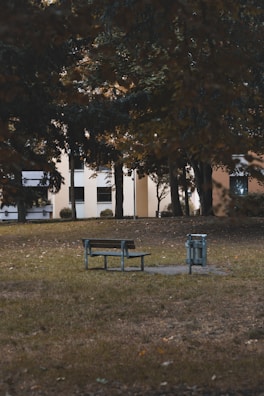 Urban park scene featuring benches and metal waste containers.
