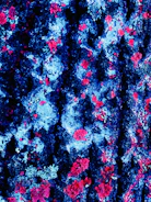 Close-up of a vibrant vinyl and foam photo print with rich textures