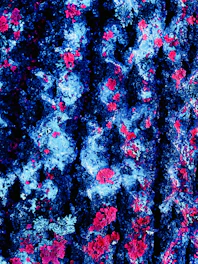 Close-up of a vibrant stereophoto artwork showcasing depth and color