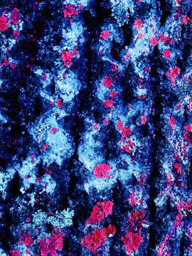 Close-up of a vibrant stereophoto artwork showcasing depth and color