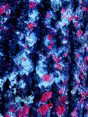Close-up of a vibrant blue product with a red background, showcasing texture and detail