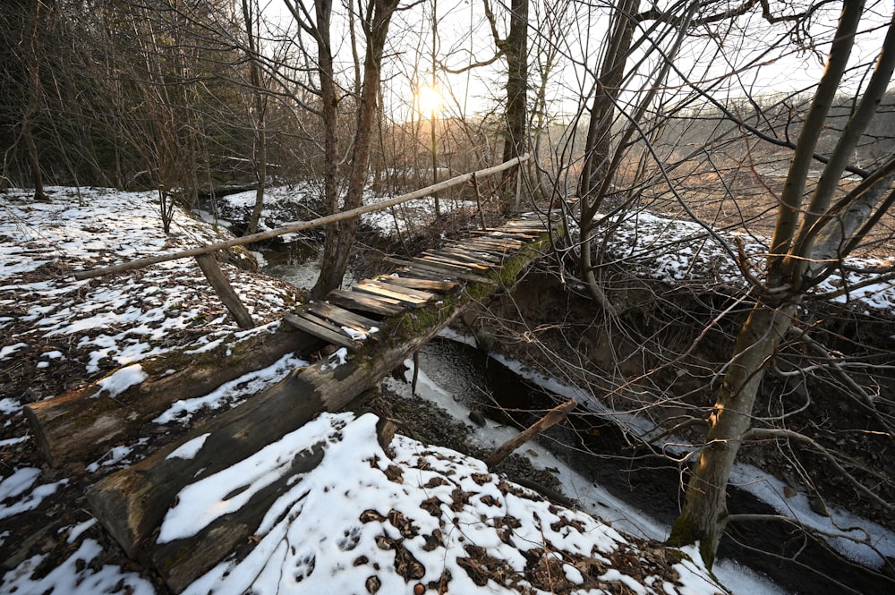 Un puente de madera sobre un pequeño arroyo en el bosque
