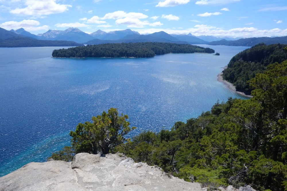 a large body of water surrounded by trees